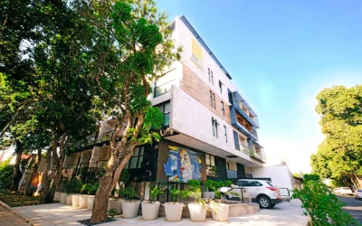 Arquitectura Sustentable: Más allá de los paneles solares